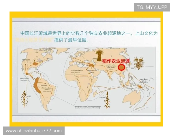 十三水的起源地究竟在哪里以及它在全球范围内的传播与影响