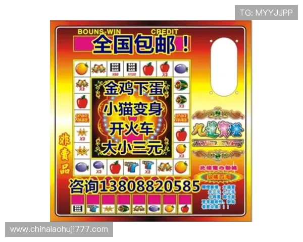 如何选择优质的在线老虎机网站，确保游戏公平公正与资金安全