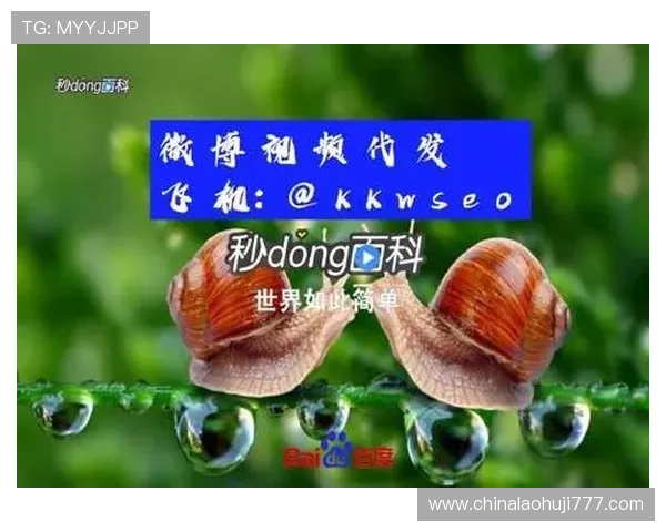 提升JDB电子链接尙11yb tv连接速度的实用优化方案与用户体验提升技巧