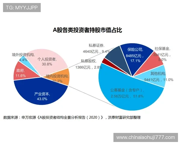 加拿大VS波黑比赛中传球成功率表现及技术统计全面分析报告